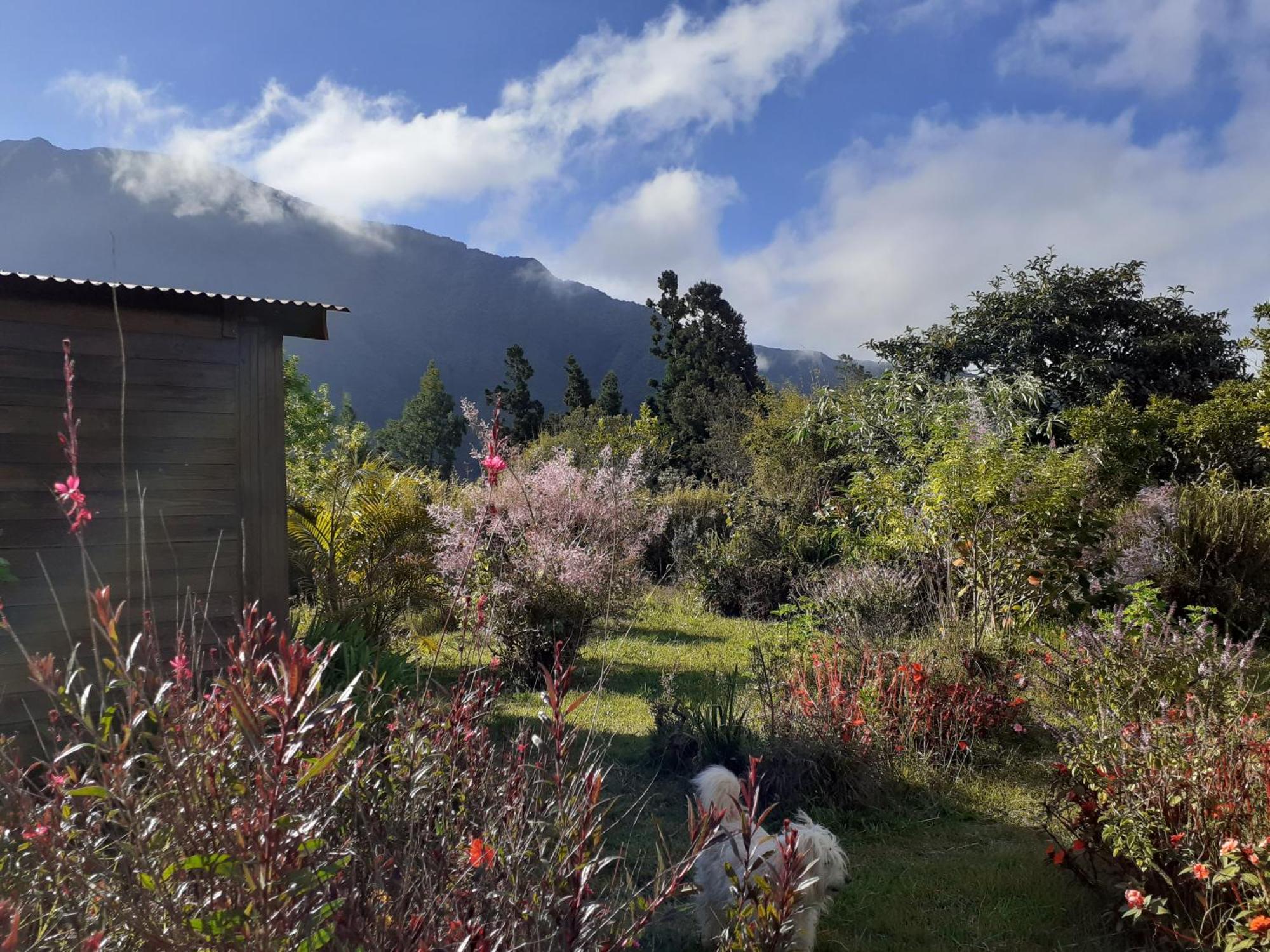 Le Clos Des Mimosas La Plaine des Palmistes Luaran gambar